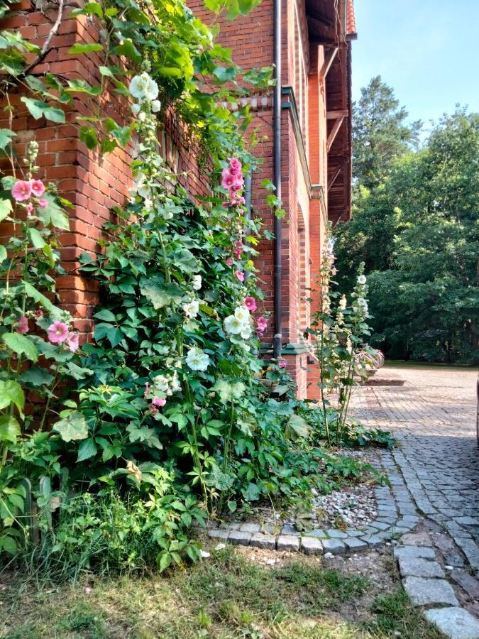 Agroturystyka Przysiółek Trzonki Pisz Exterior foto